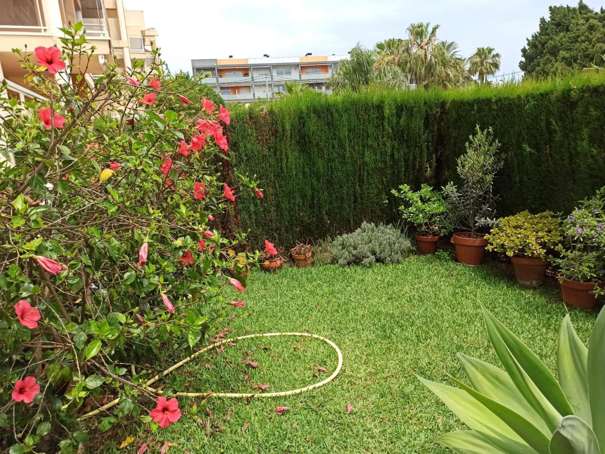 Agradable En Marinas * Dénia